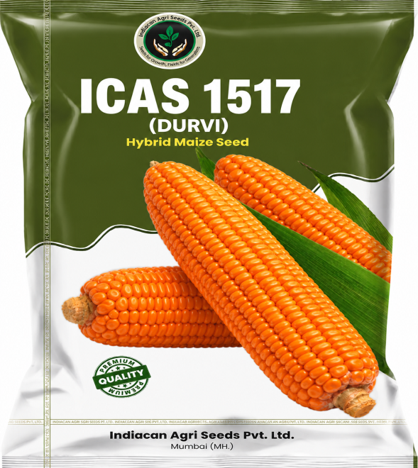 ICAS 1517 (DURVI) - Hybrid Maize