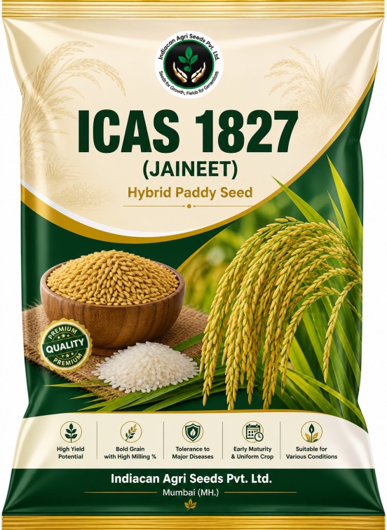 ICAS 1827 (JAINEET) - Hybrid Paddy Seed