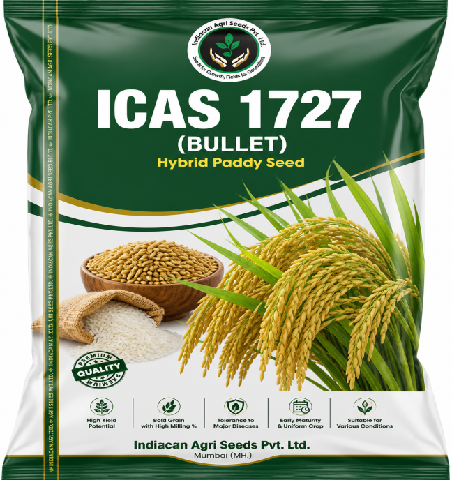 ICAS 1727 (BULLET) - Hybrid Paddy Seed