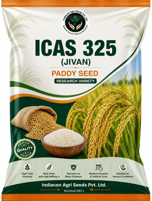 ICAS 325 (JIVAN) - Research Paddy Variety