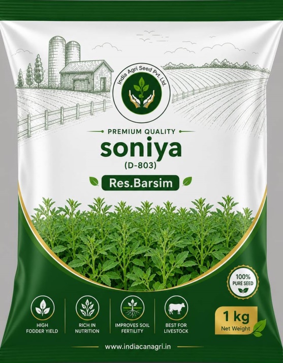 SONIYA (D-803) - Research Berseem Seed