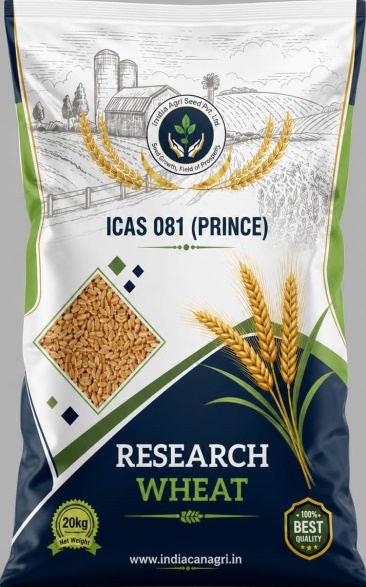 Research Wheat ICAS 081 (PRINCE)