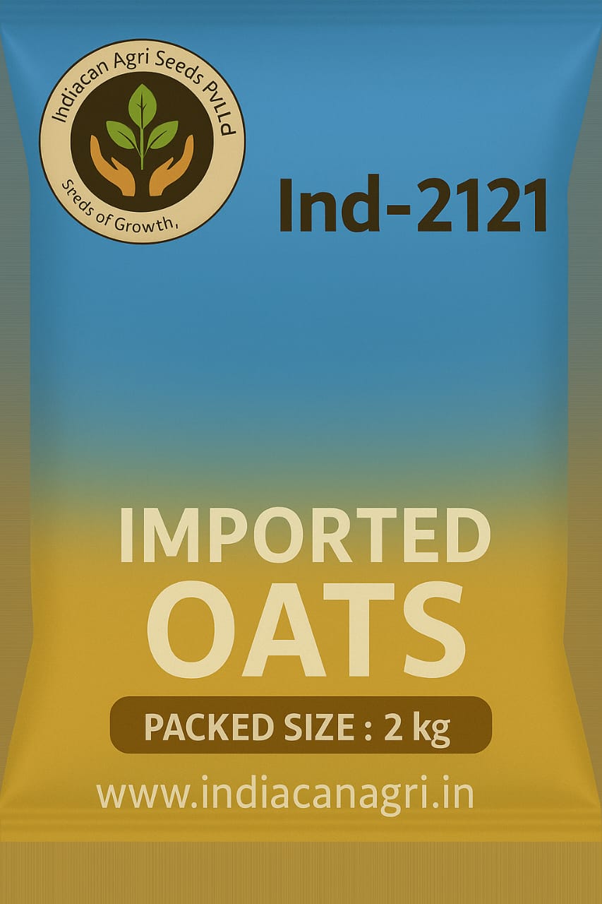 Premium Oats